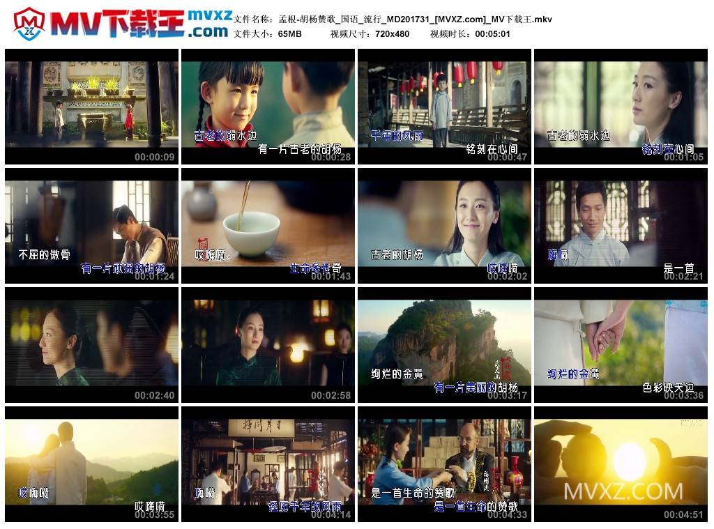 孟根-胡杨赞歌_国语_流行_MD201731